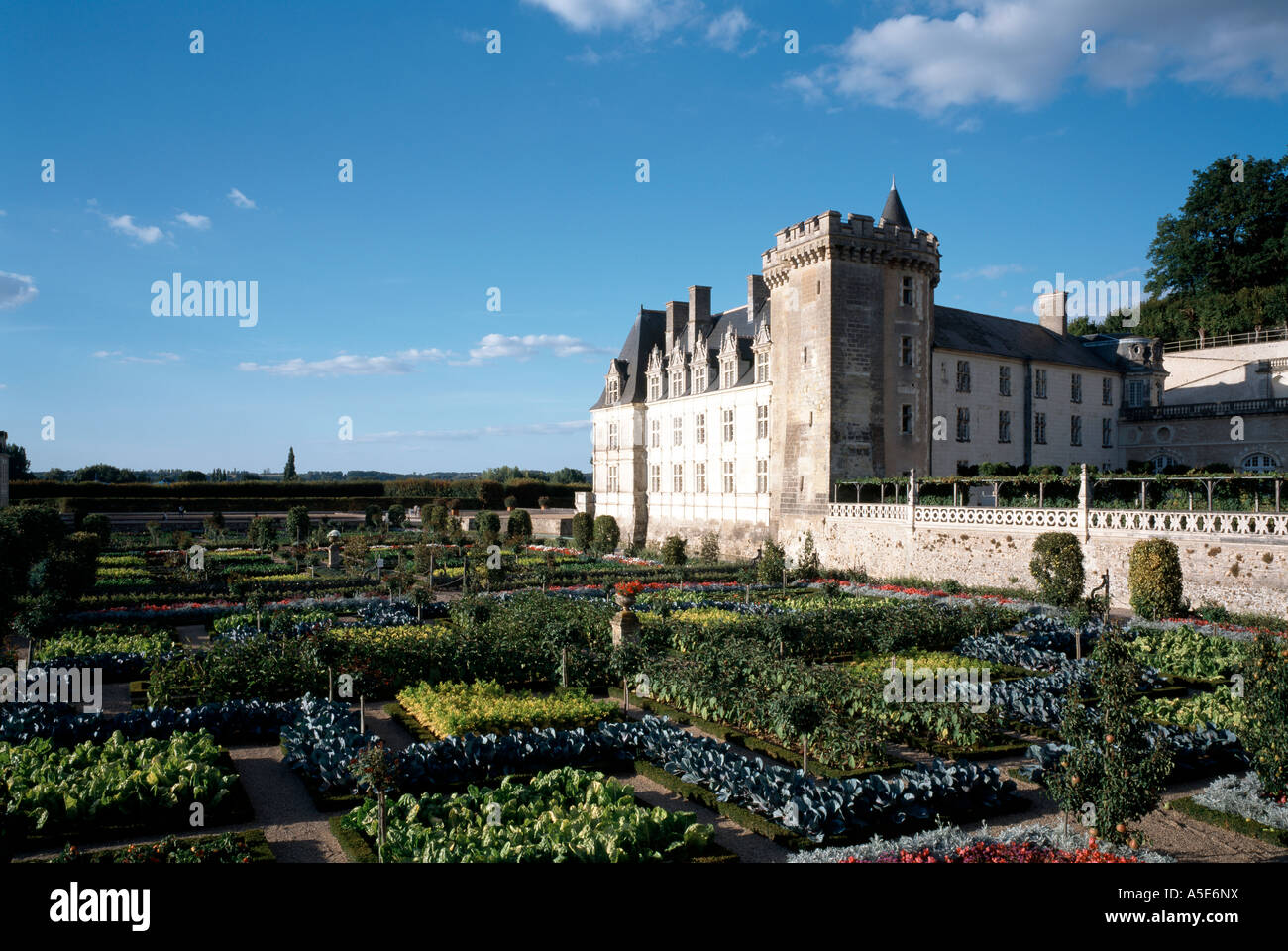 Villandry garden france potager hires stock photography and images Alamy