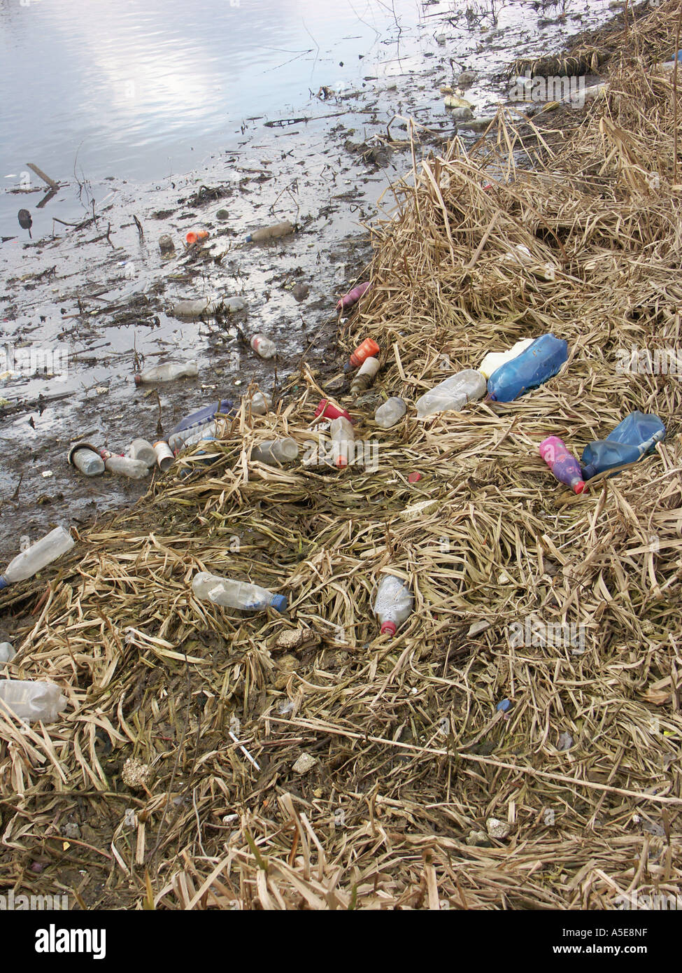 Litter and debris floating in water 3 Stock Photo Alamy