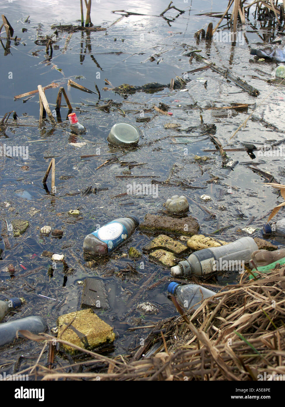 Litter and debris floating in the water. Mainly discarded plastic