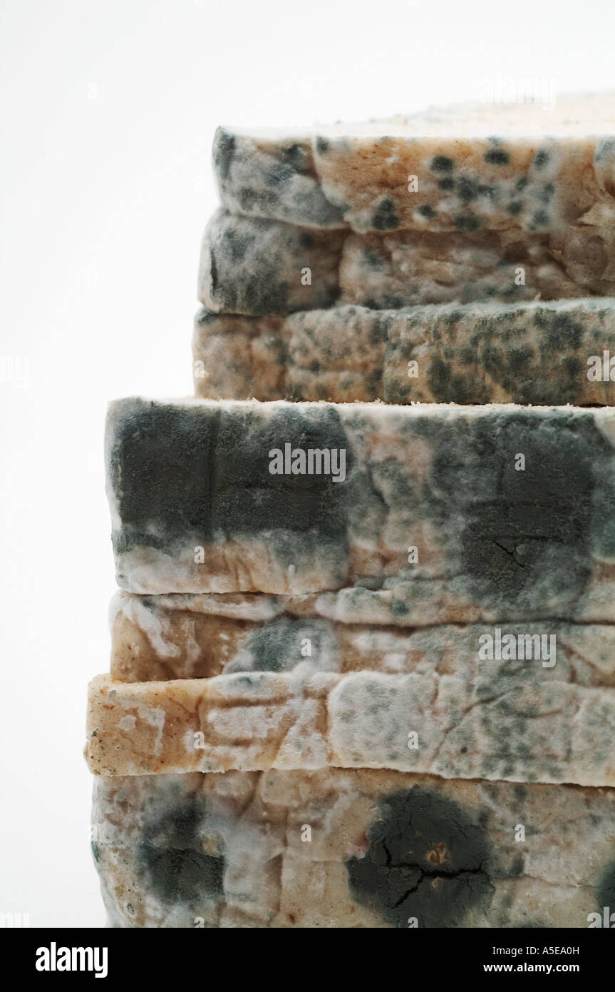 Mouldy Reeds Mouldy bread food Stock Photo - Alamy