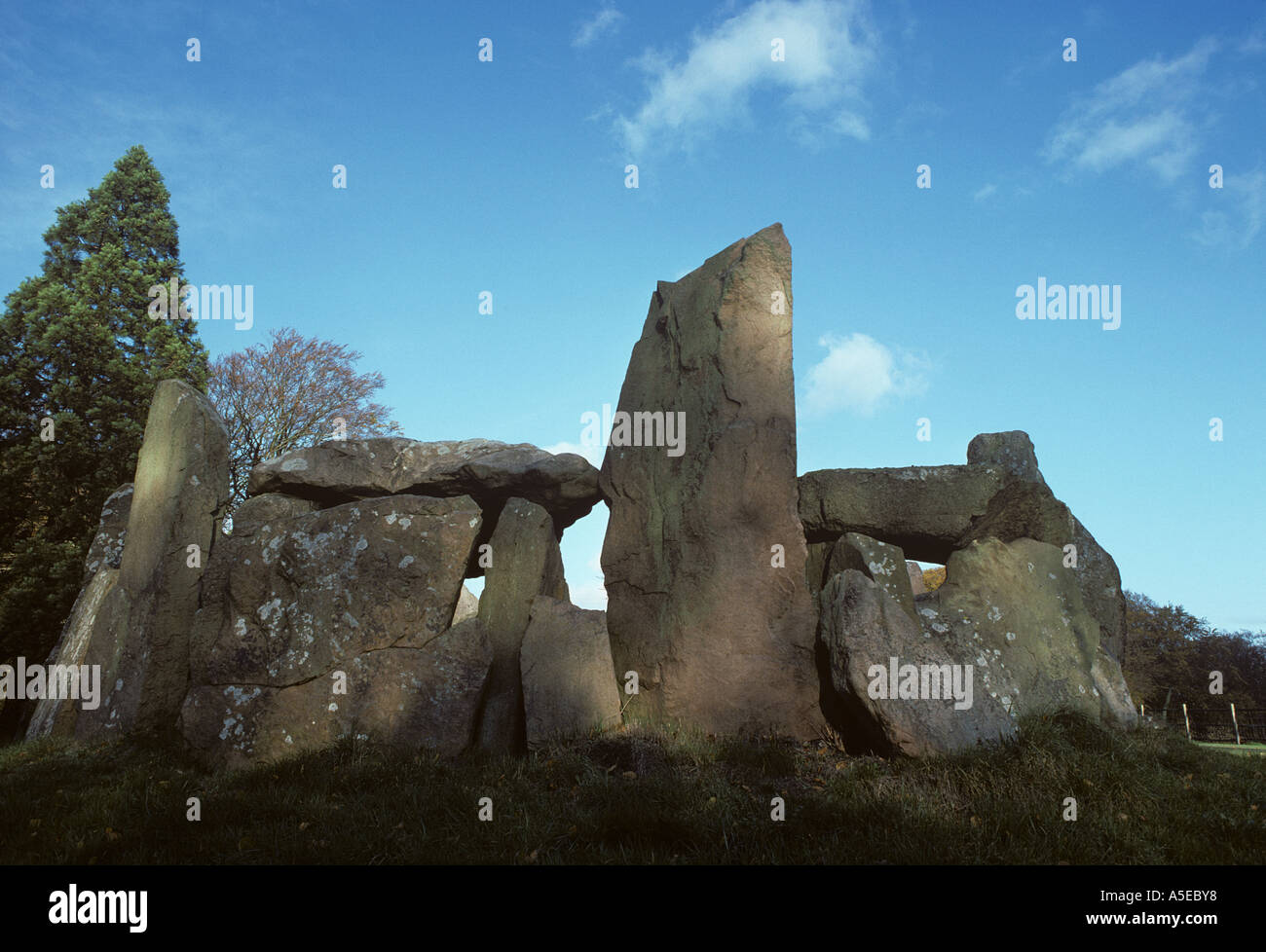Mont de la Ville Megalithic tomb Temple Combe Oxfordshire Stock Photo