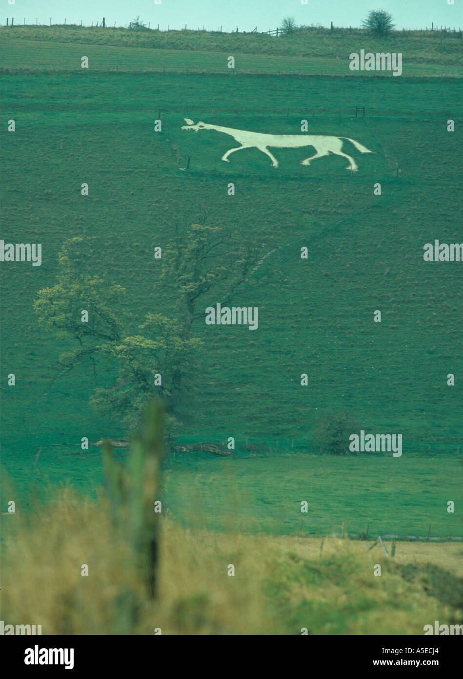 ancient stylised white horse cut into the chalk hillside above the Wiltshire village of Pewsey ENGLAND Stock Photo