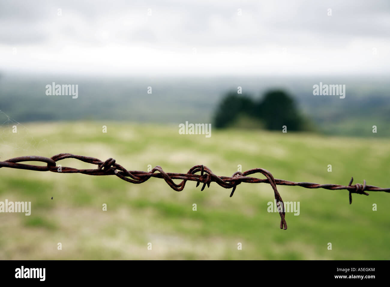 Brabwire Rusted Rusted barb wire Stock Photo - Alamy