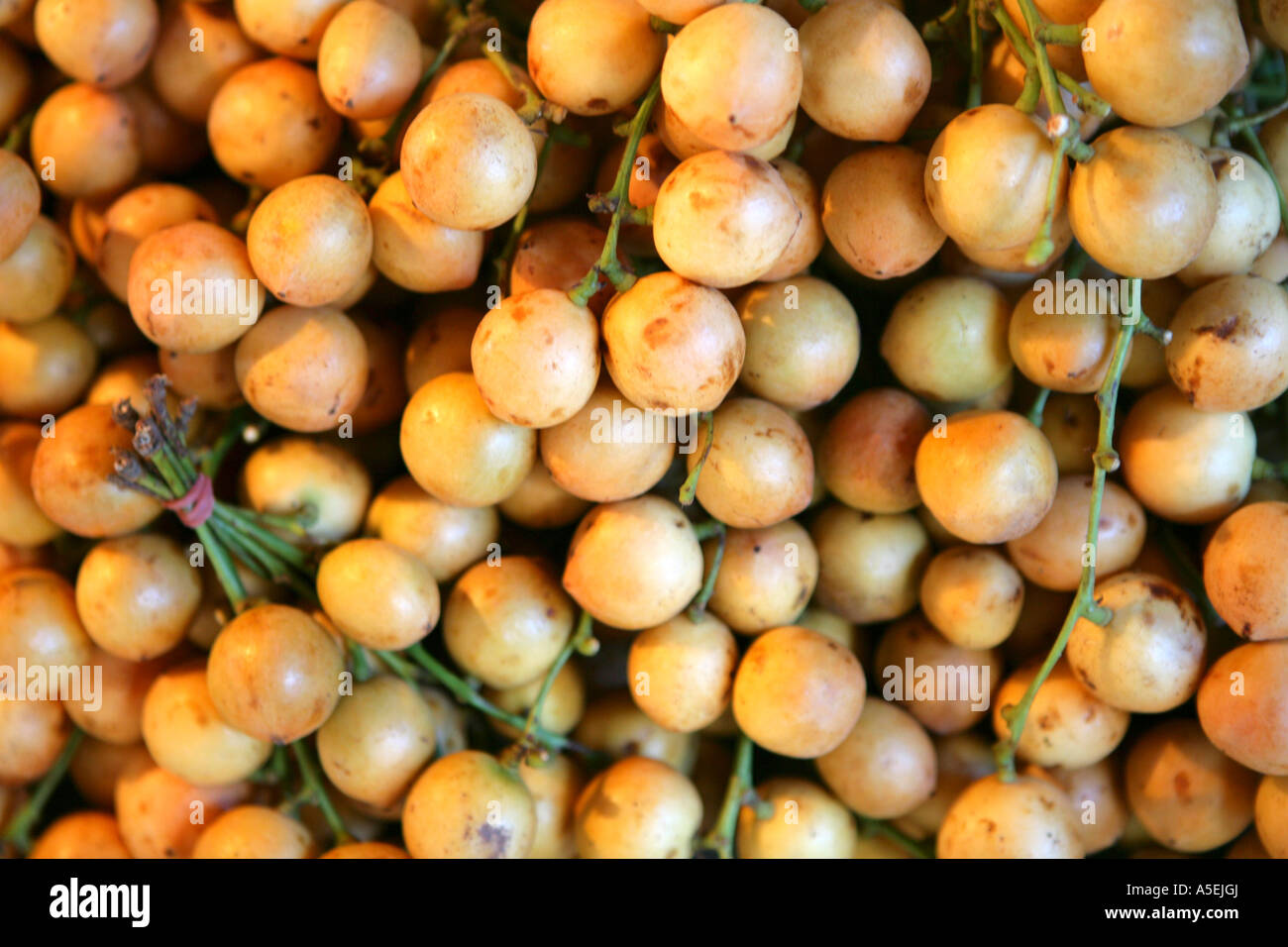 tropical fruits on market in Thailand Stock Photo