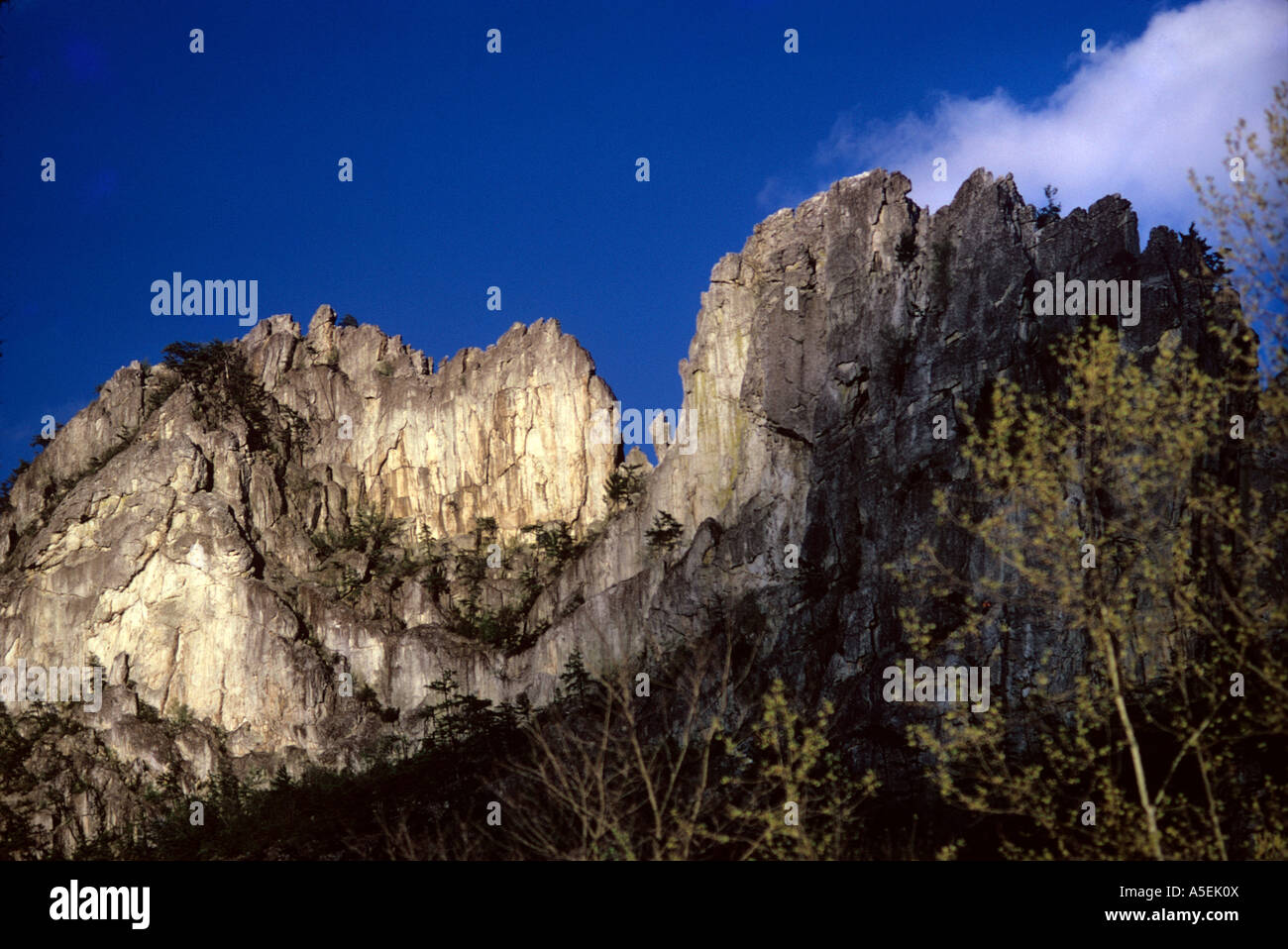 Tuscarora hires stock photography and images Alamy