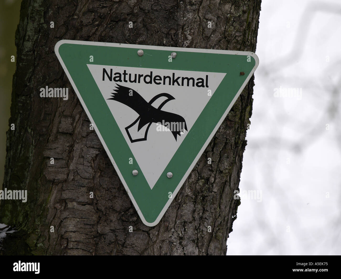 Open Sign Nature sign natural monument on a tree Stock Photo - Alamy