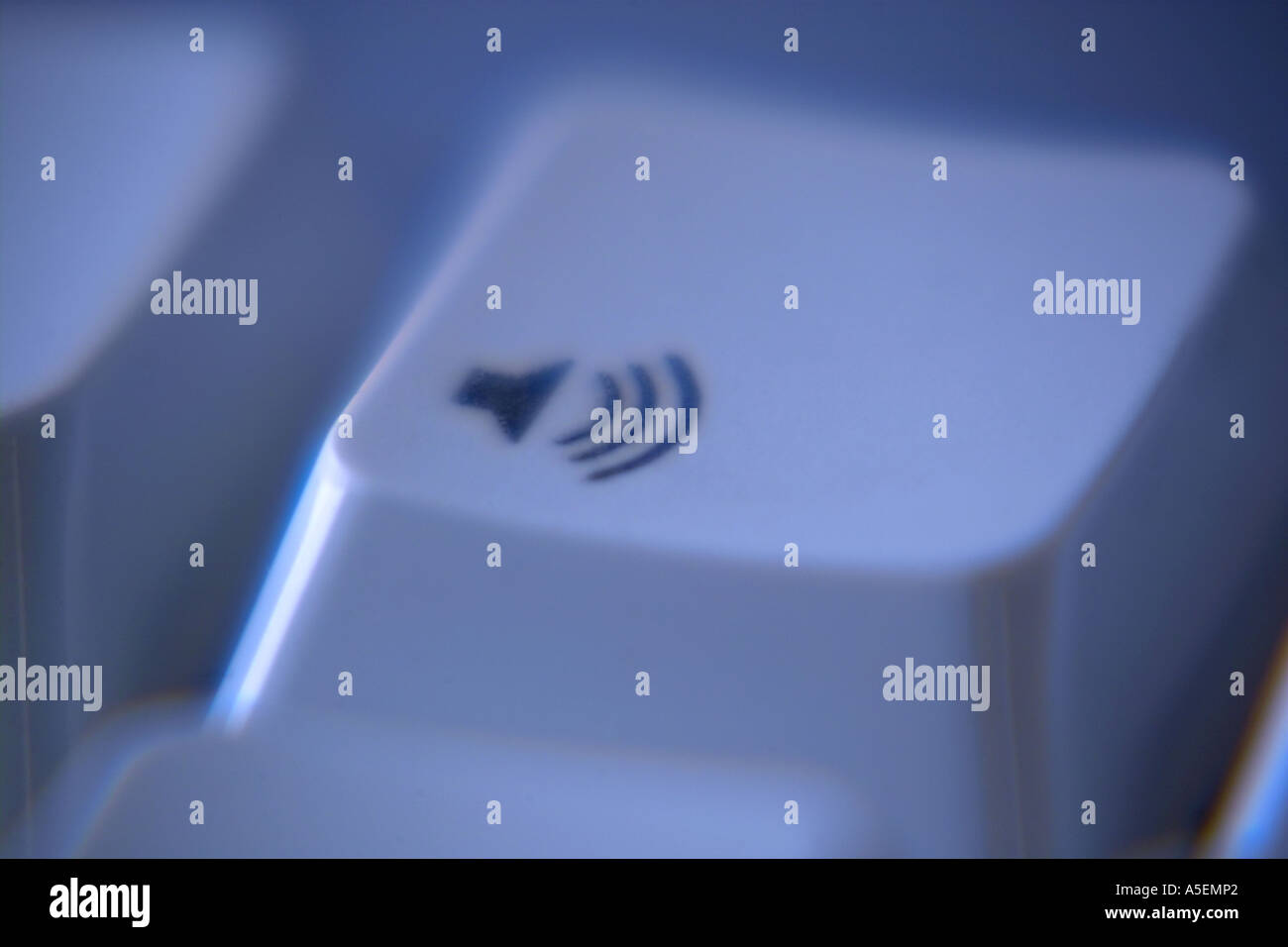 Computer Keyboard Apple Mac showing the volume up key Stock Photo Alamy