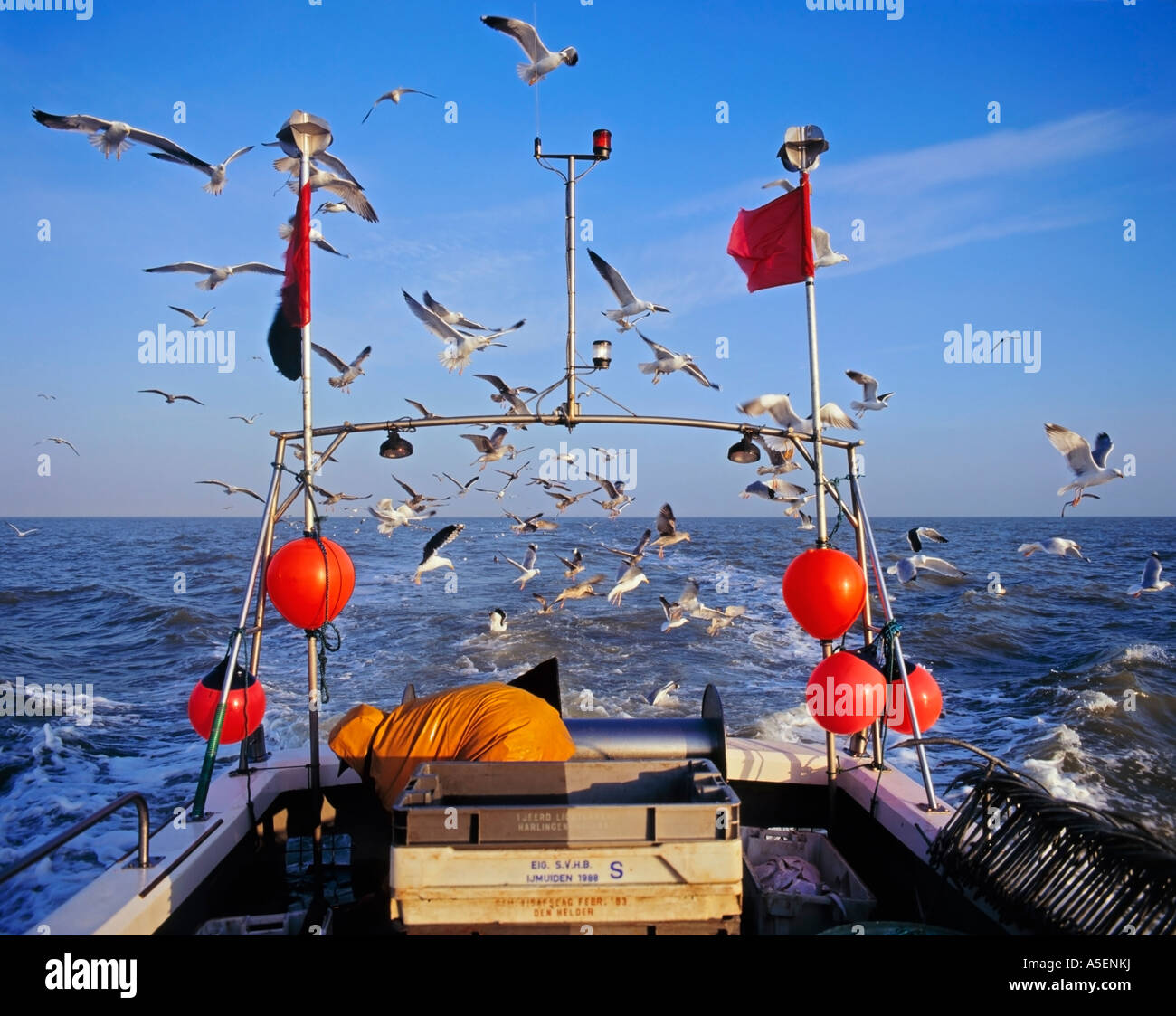 Fishing in the North Sea, longline fishing in British Waters Stock Photo
