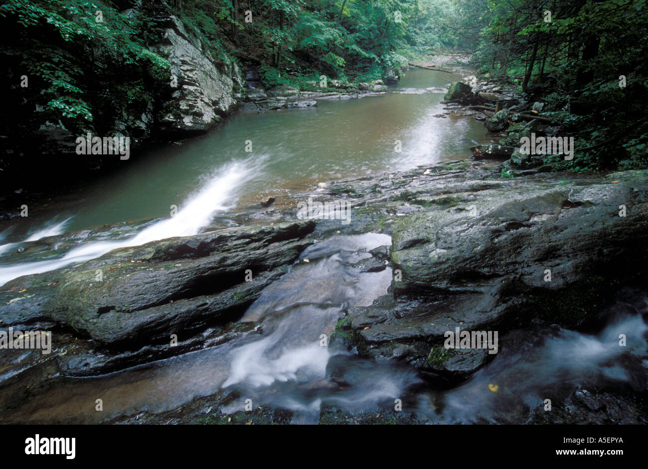Falls Gap, North Fork of Patterson Creek, Grant County, West Virginia