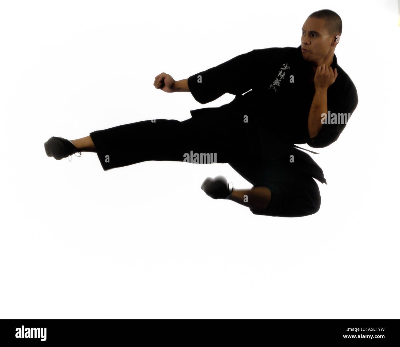Black belt karate instructor doing a flying sidekick white background