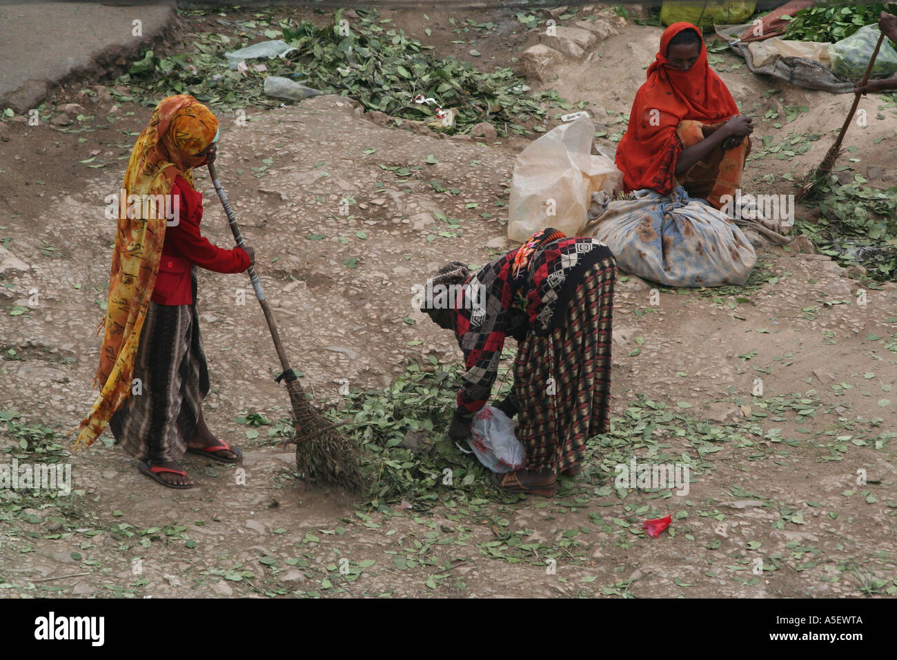 Harar, Ethiopia, women cleaning up dry leaves after selling bundles of Qat in the market Stock Photo