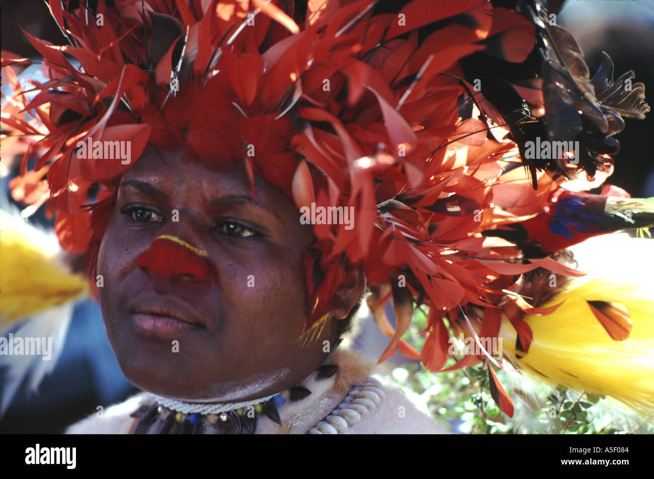Chimbu woman in feathered headdress at highland show Mt Hagen Papua New Guinea Stock Photo