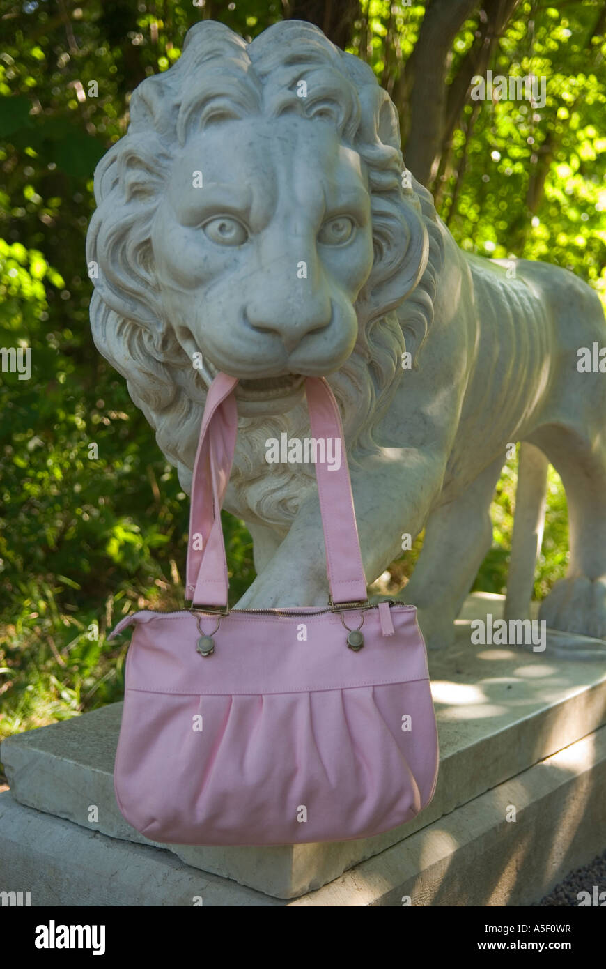 Lion with handbag. Stock Photo