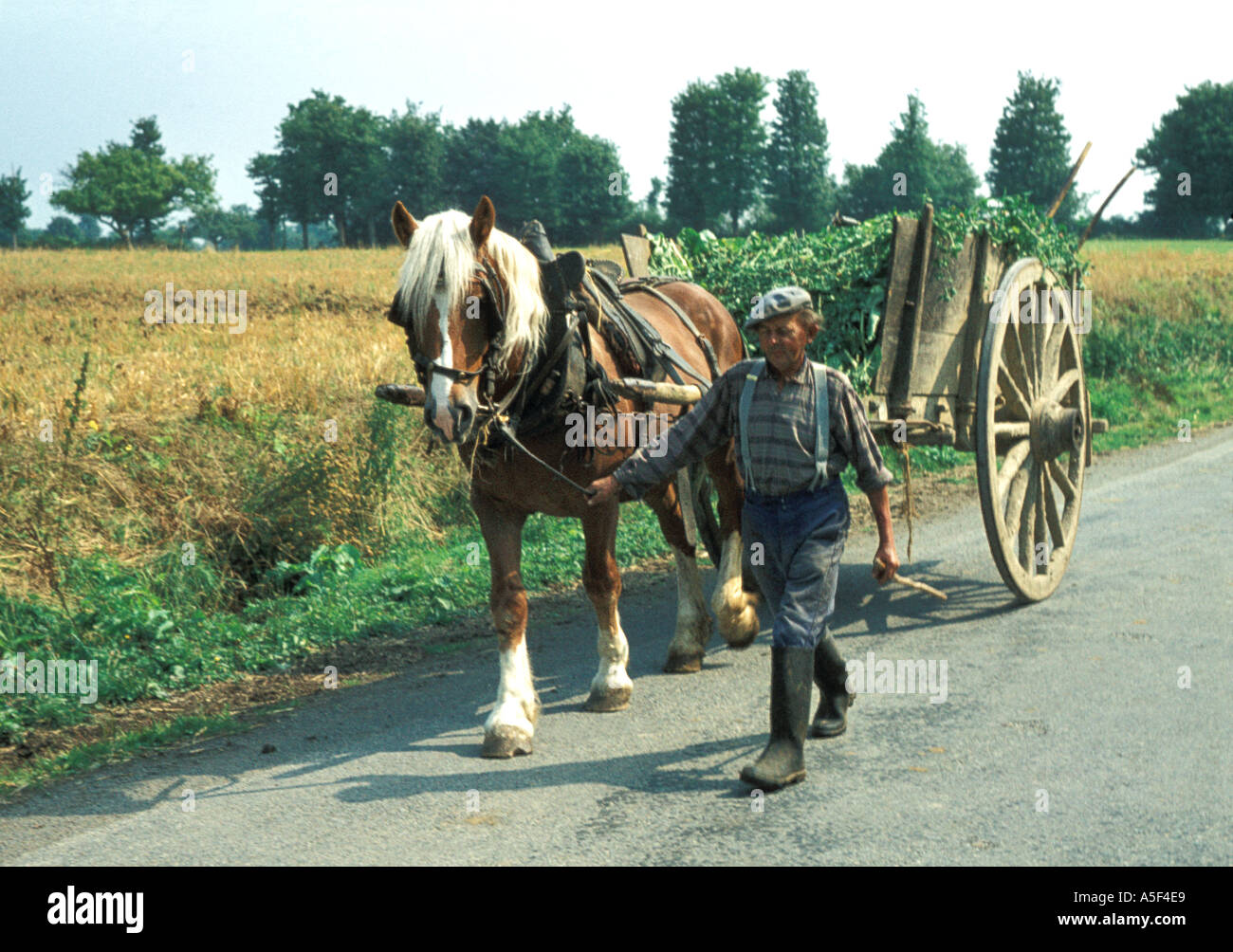 France Normandy Man leading a horse and cart in 1972  Stock Photo