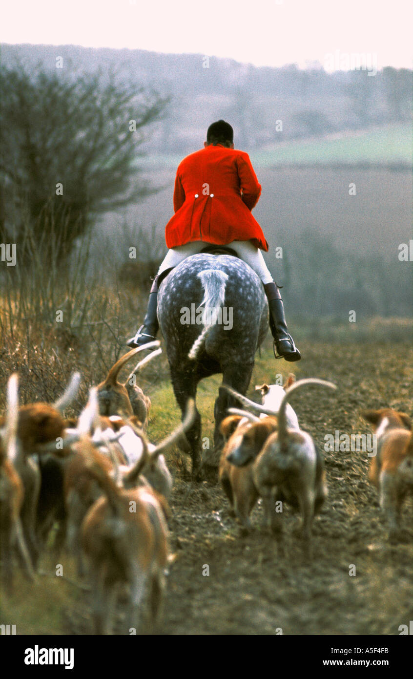 The Puckeridge Thurlow Hunt with Captain Charles Barclay MFH leading the hounds 1970s  Stock Photo