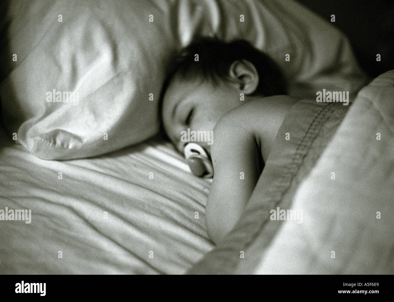 baby with dummy asleep in bed Stock Photo Alamy