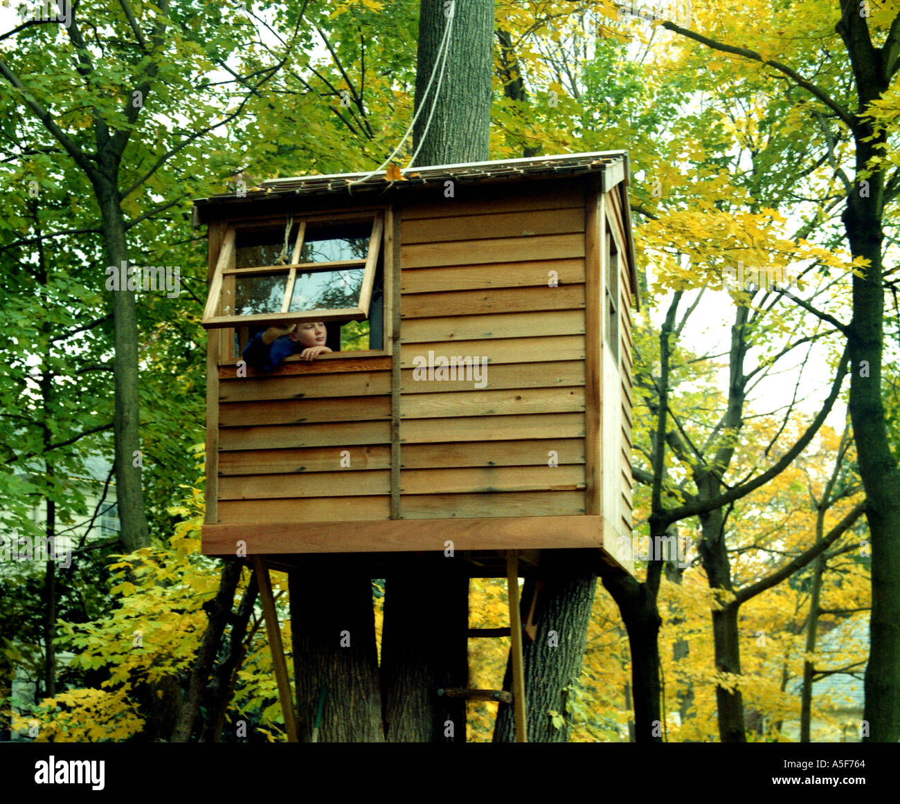 Tree House Kids Stock Photos Tree House Kids Stock Images Alamy