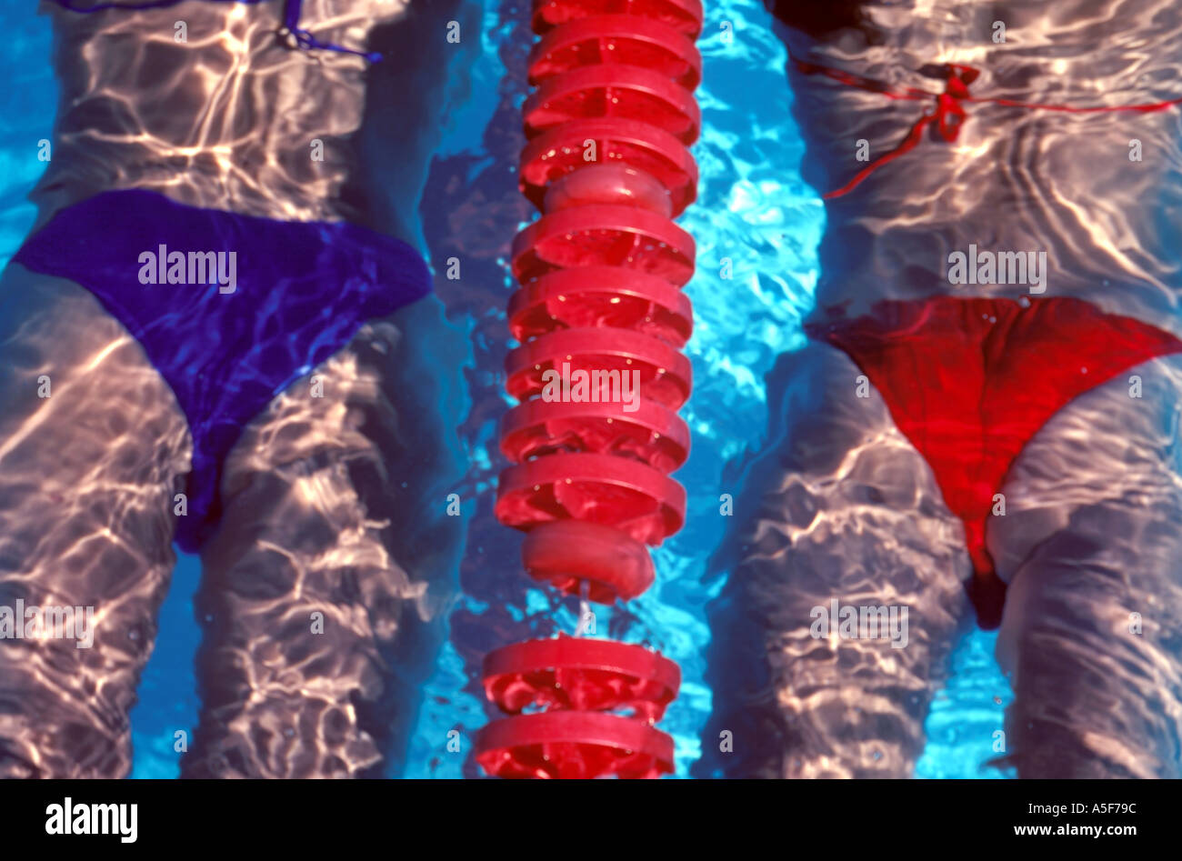 Swimmers in water hi-res stock photography and images - Alamy