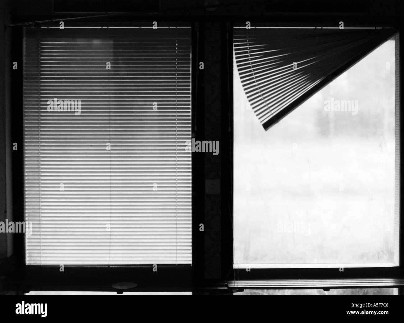 Behind the Venetian Blind Stock Photo - Alamy