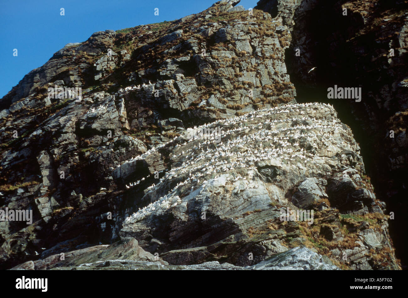 The Gjesvaerstappen, 'bird islands', Norway Stock Photo Alamy