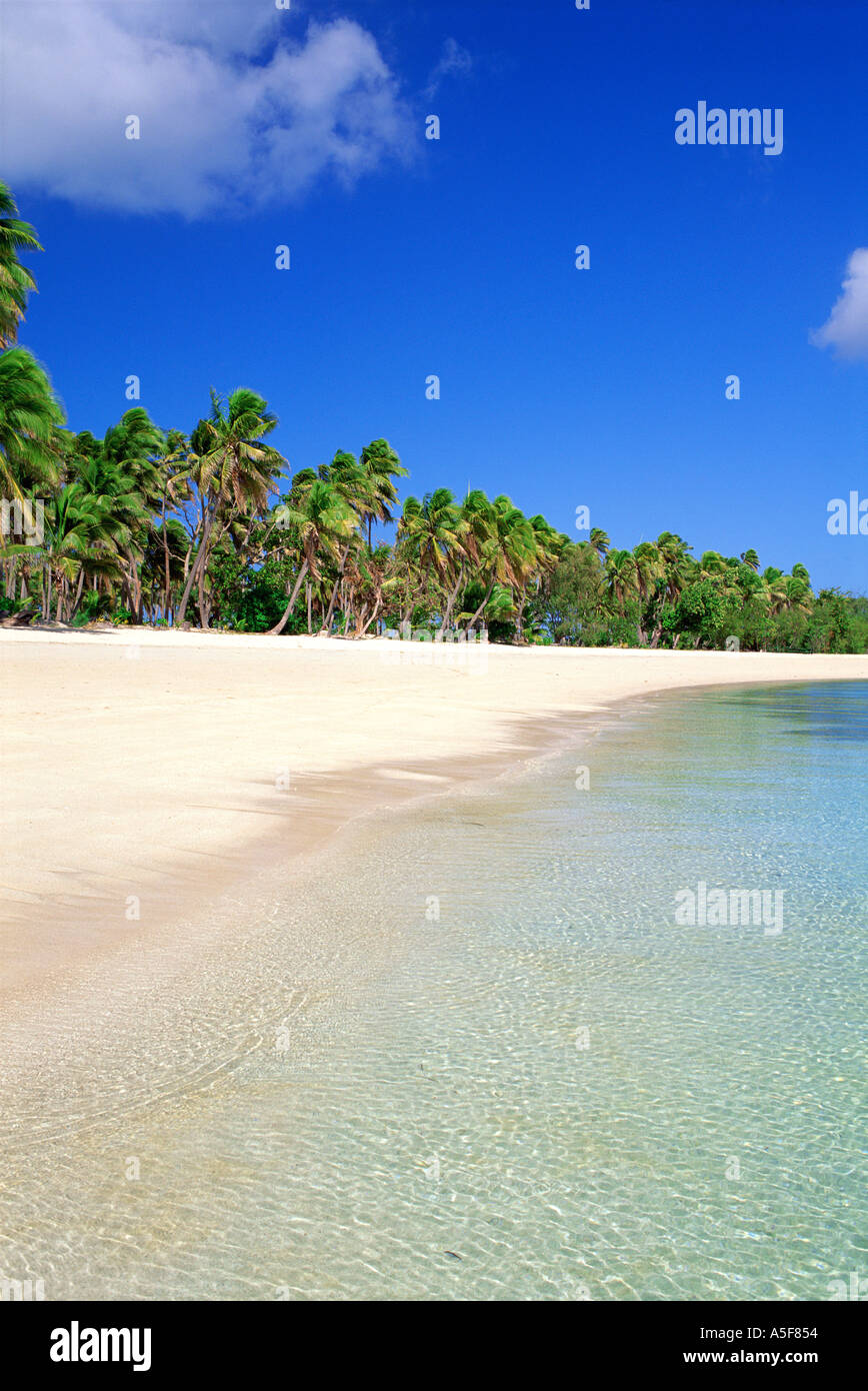 Tropical beach with palm trees in Fiji South Pacific Ocean Stock Photo