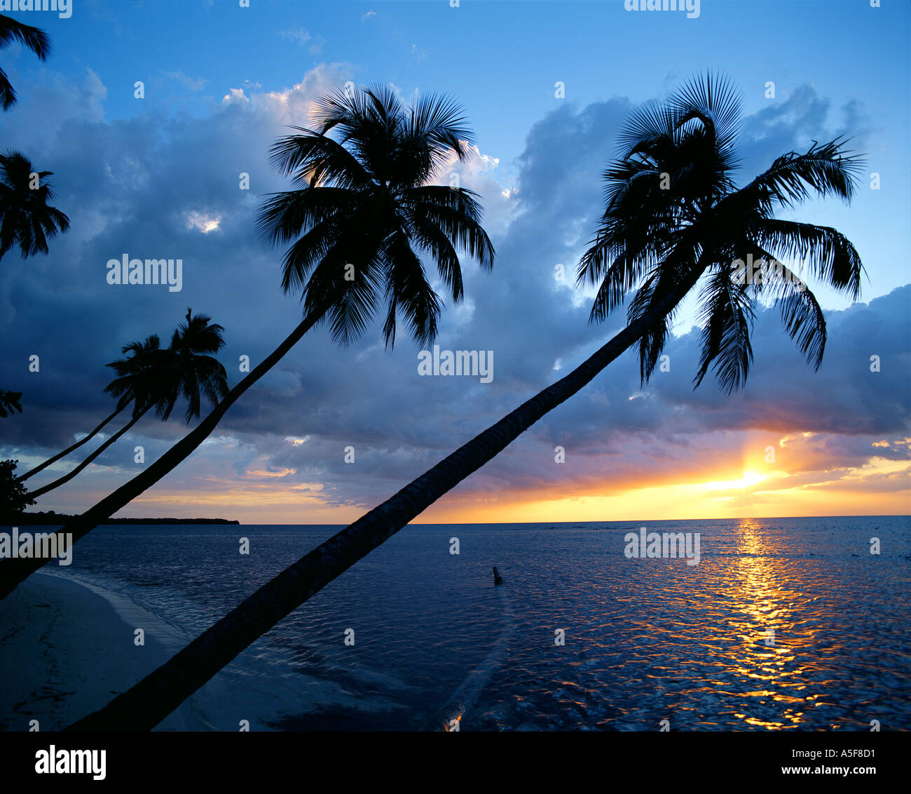 Tropical sunset beach palm hi-res stock photography and images - Alamy