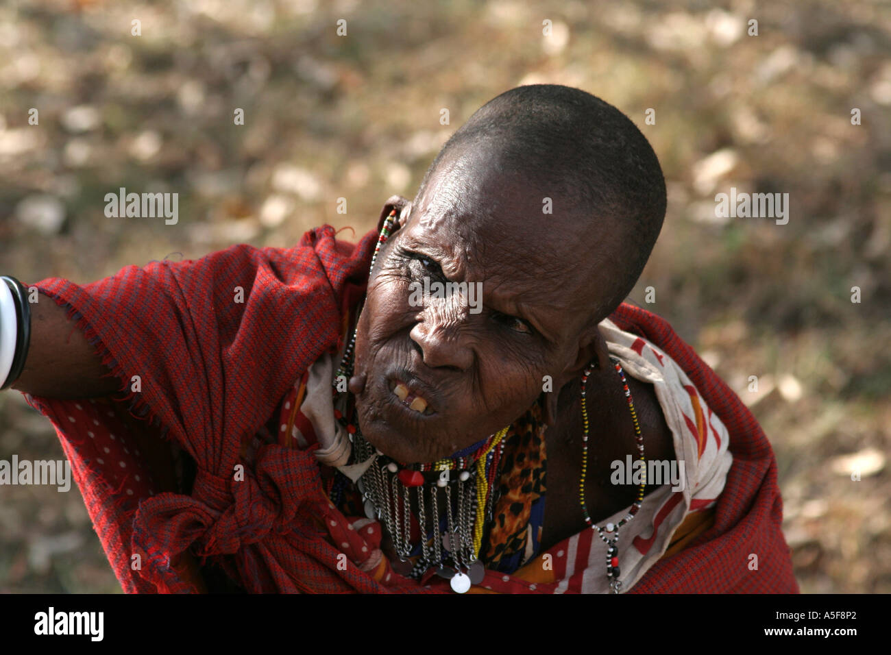 Woman from the Masai Tribe in Kenya reaching up to a safari bus, Africa Stock Photo
