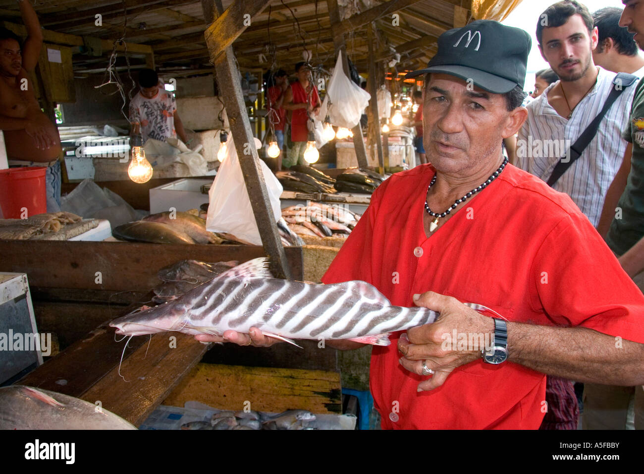 Vendor selling catfish at a market in Manaus Brazil Stock Photo Alamy