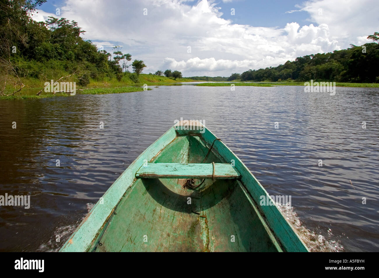 The bow of a dugout canoe on the Arasa River in the Amazon jungle near