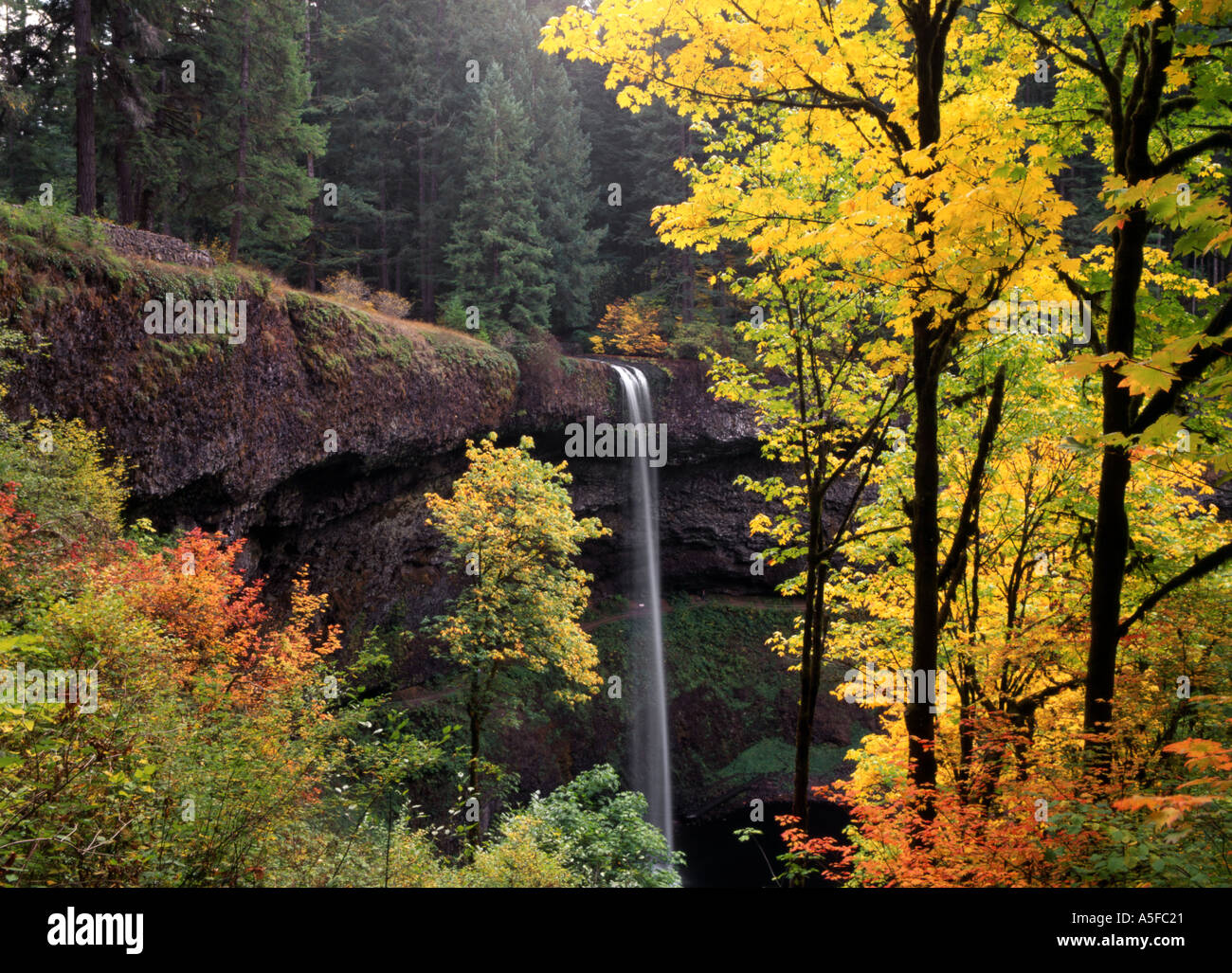 South fall silver falls state park Oregon Stock Photo Alamy