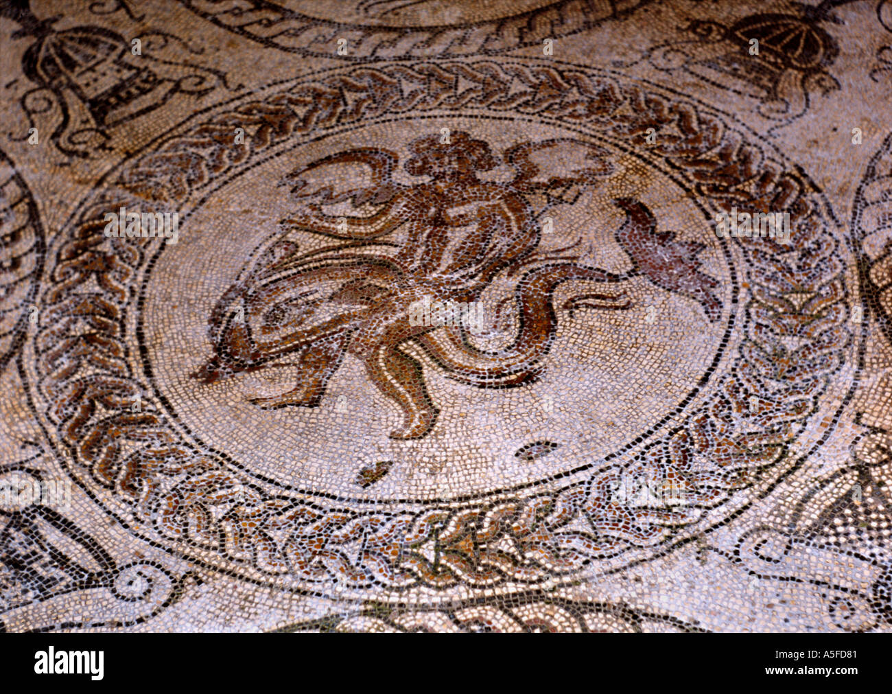 England Fishbourne Roman mosaic Stock Photo Alamy