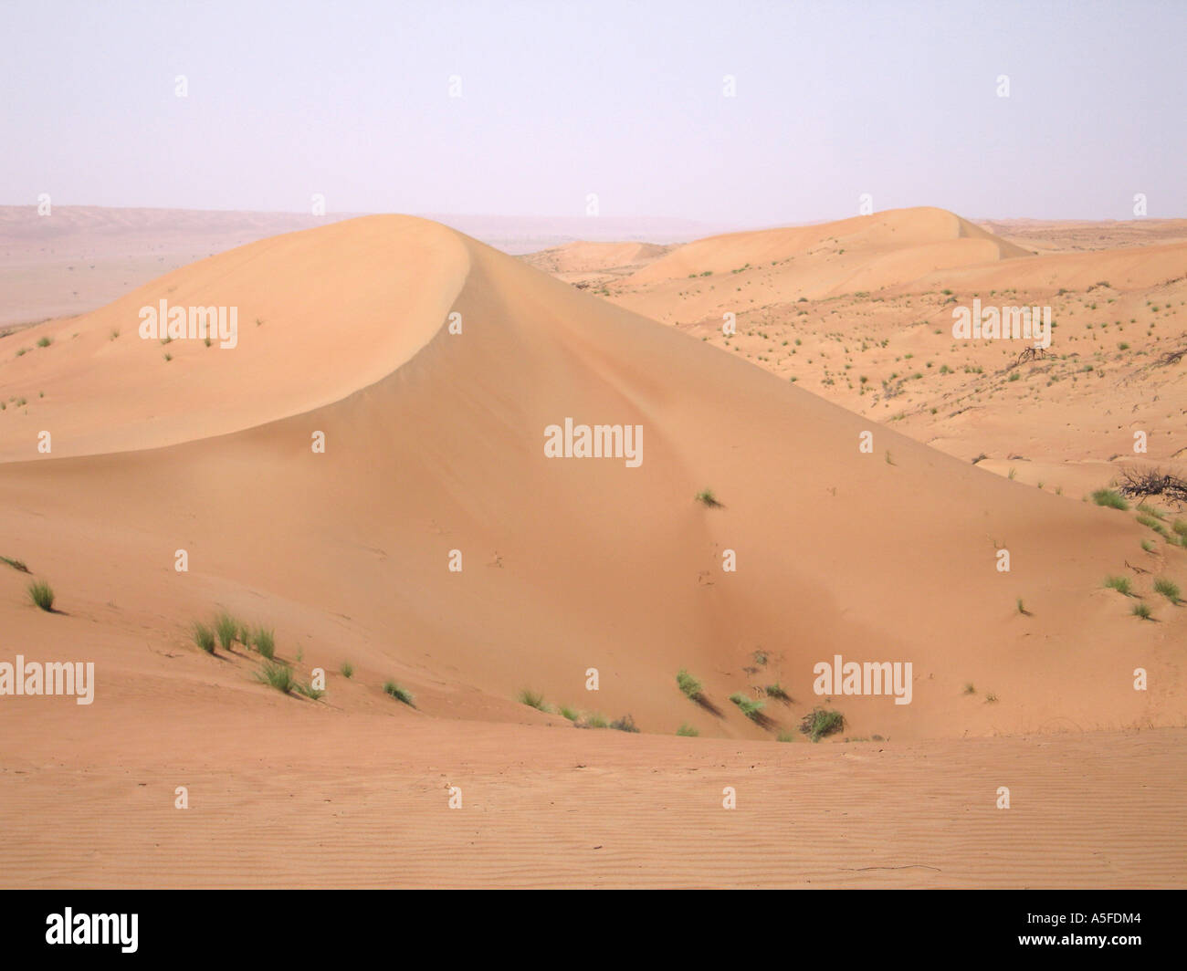 Wahiba Sands, Sharqiya, Oman, sands of the endless sand dunes Stock Photo