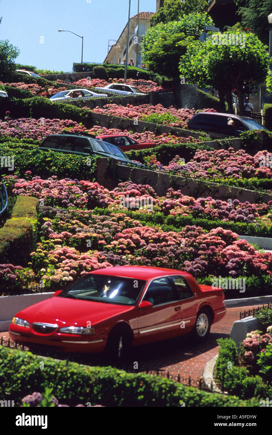 Cars drive on Lombard Street in San Francisco California crookedest