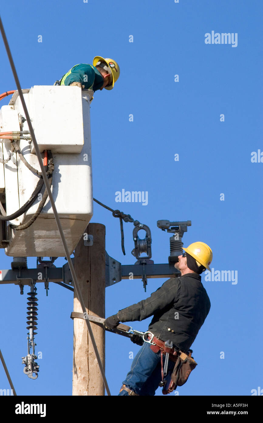 Lineman Stock Photos, Images and Backgrounds for Free Download