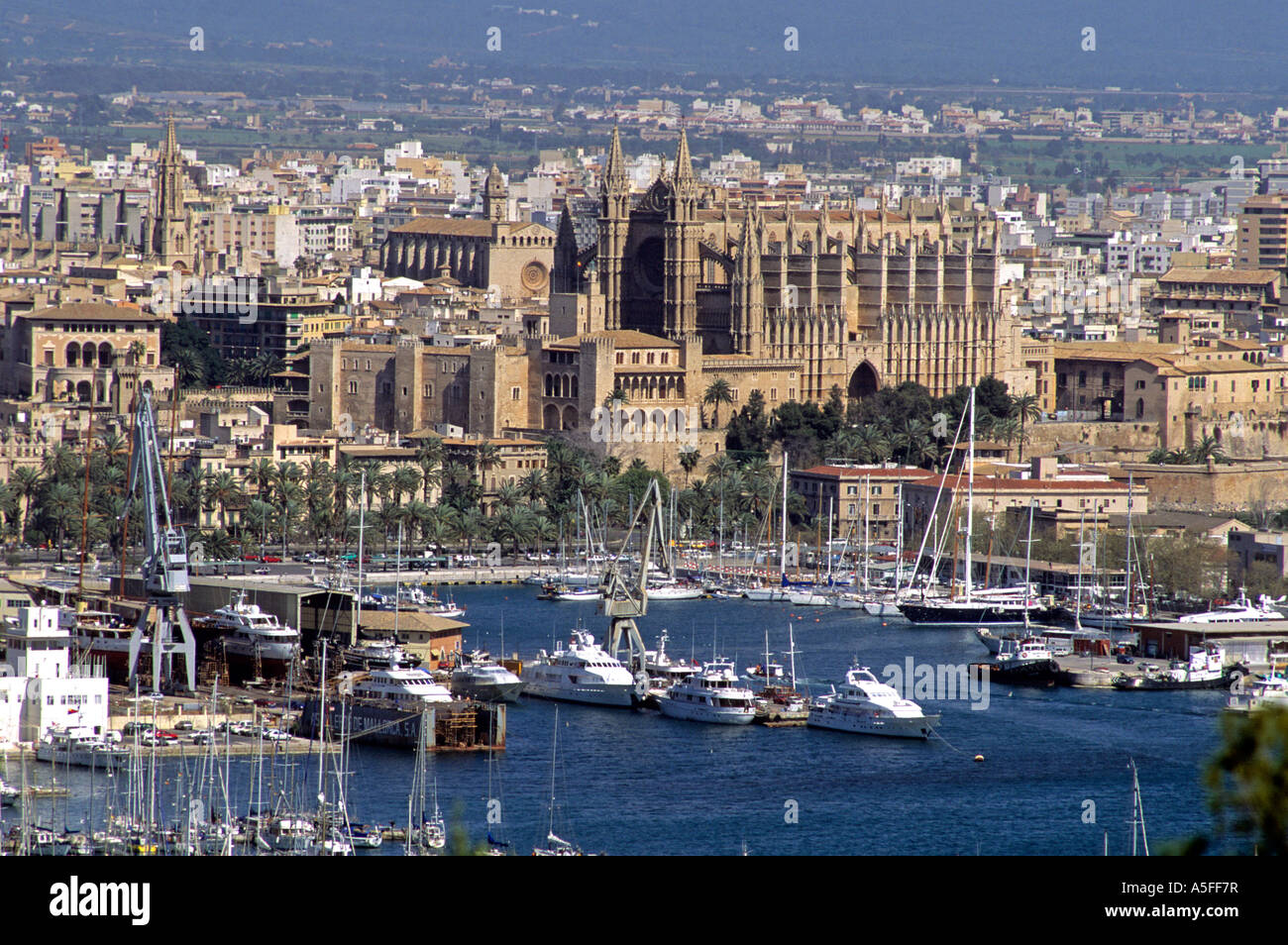 Cathedral and overview of Palma de Majorca Spain Stock Photo