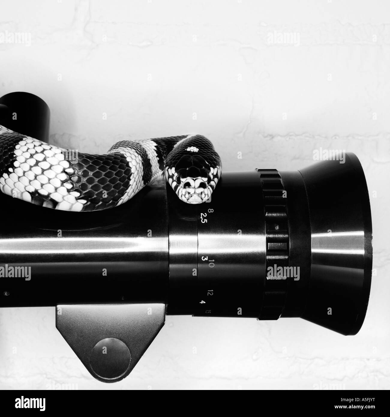 Square lens Black and White Stock Photos & Images - Alamy