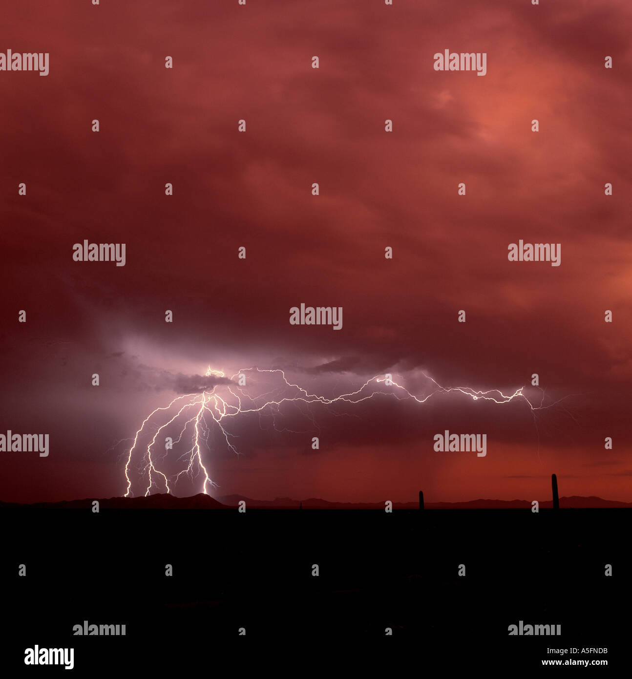 Huge lightning bolt crashes down and across an intense volcanic ash sunset sky 25 miles north of Sells, Arizona USA. Stock Photo