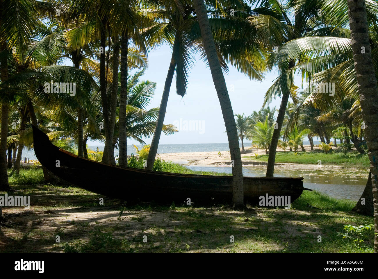 Marari Beach, Kerala, India Stock Photo - Alamy