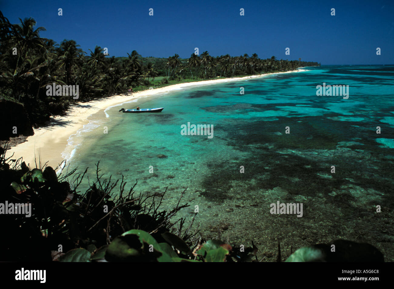 Iguana island nicaragua hi-res stock photography and images - Alamy