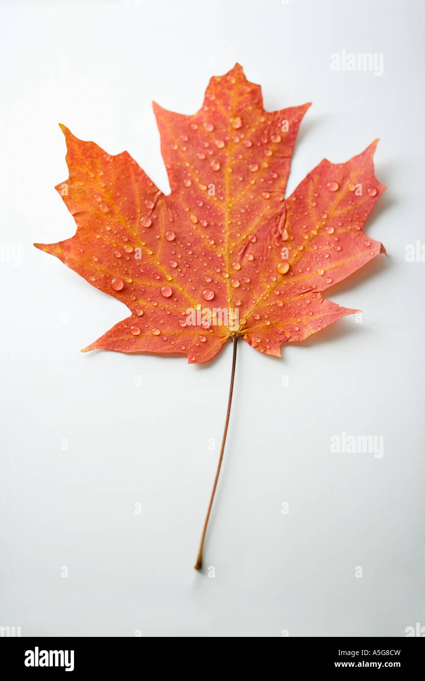 061218d0039 Hi res Stock Photography And Images Alamy 061218d0039-hi-res-stock-photography-and-images-alamy