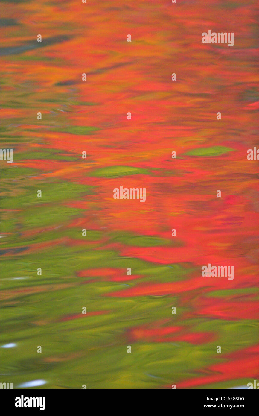 Reflections in a lake Stock Photo - Alamy
