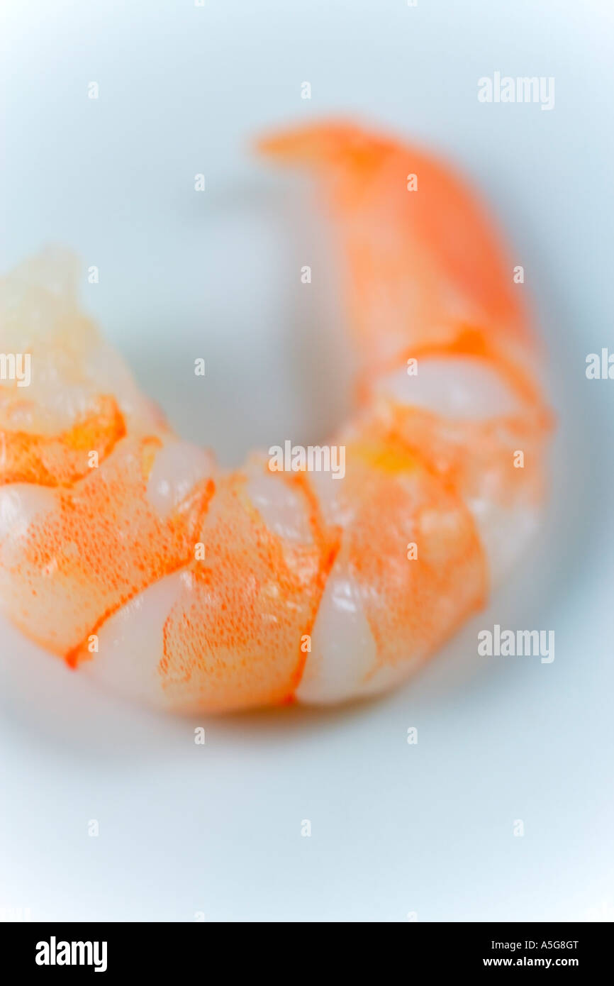 A PEELED PRAWN Stock Photo - Alamy