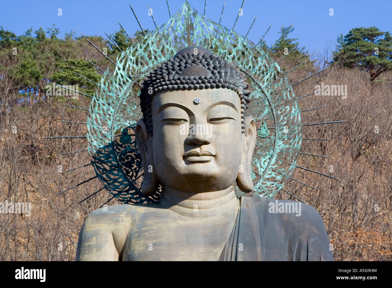 Enormous Buddha Statue Seoraksan National Park South Korea Stock Photo