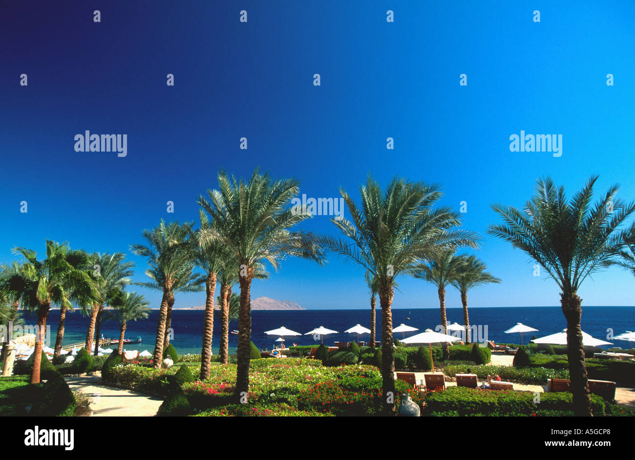 View over palm trees Four Seasons Hotel Sharm el Sheikh to Tiran Island Straits of Tiran Sinai Egypt Red Sea Riviera Stock Photo