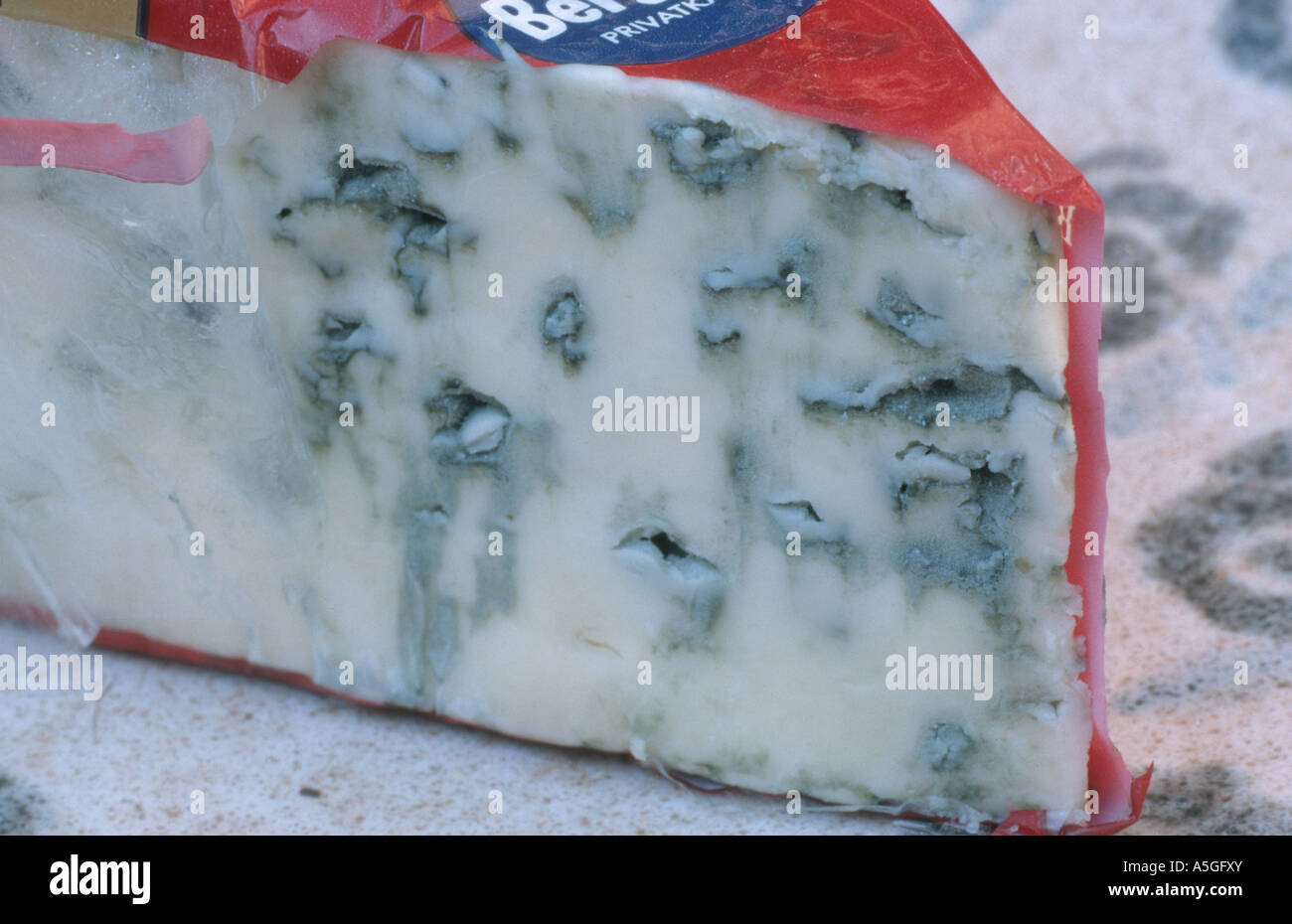 Fungus cheese mold (Penicillium roqueforti), Blue cheese Stock Photo