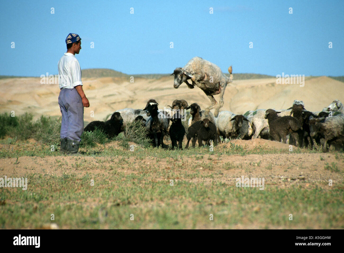 Uzbekistan aridity central asia hi-res stock photography and images - Alamy
