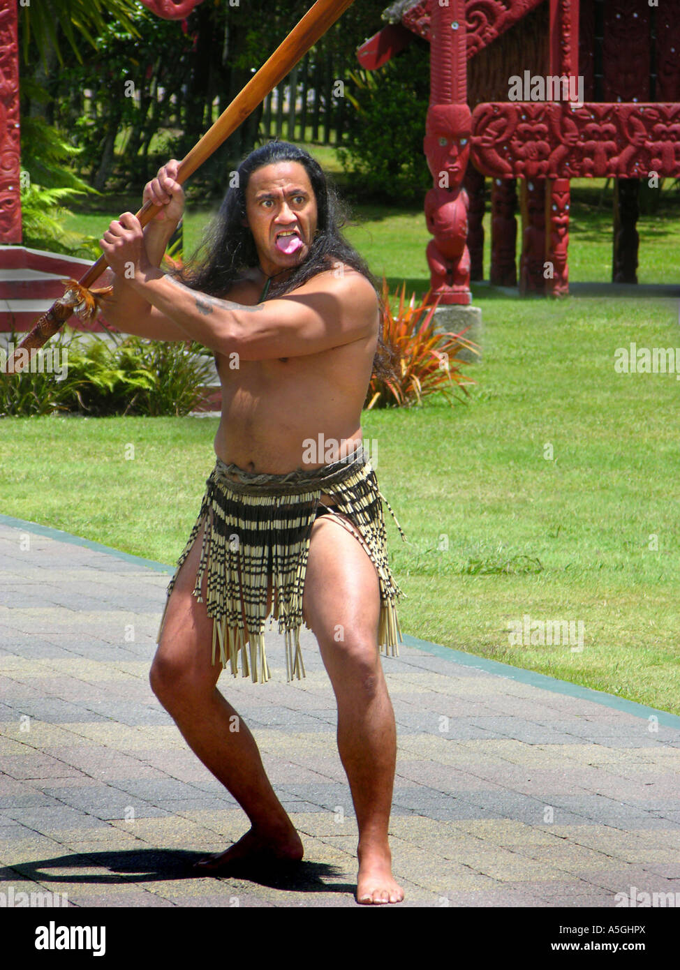 threatening maorian man, New Zealand Stock Photo