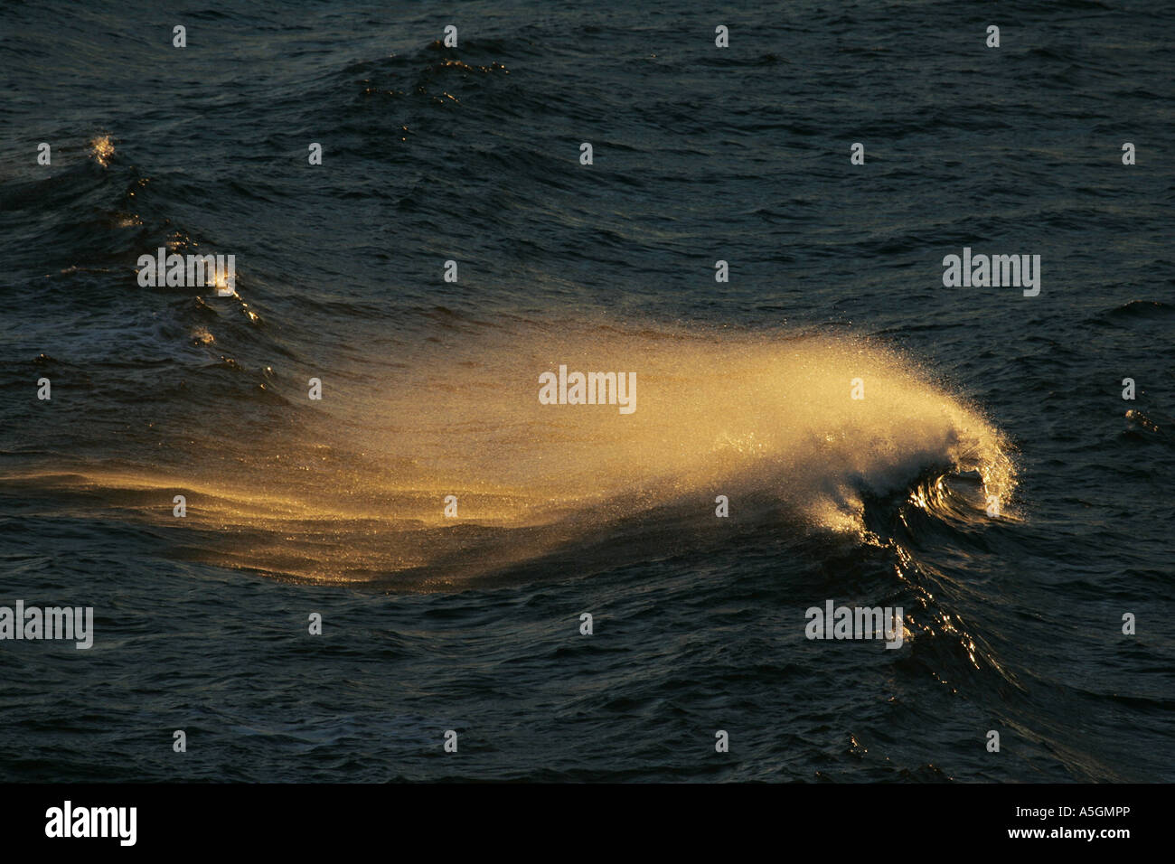 braking wave, Daenemark, Grosser Belt Stock Photo