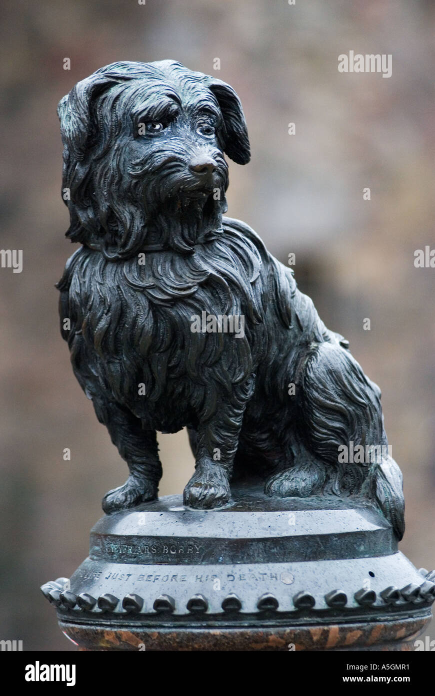 Famous statue of Grey Friars Bobby the dog in Edinburgh UK Stock Photo