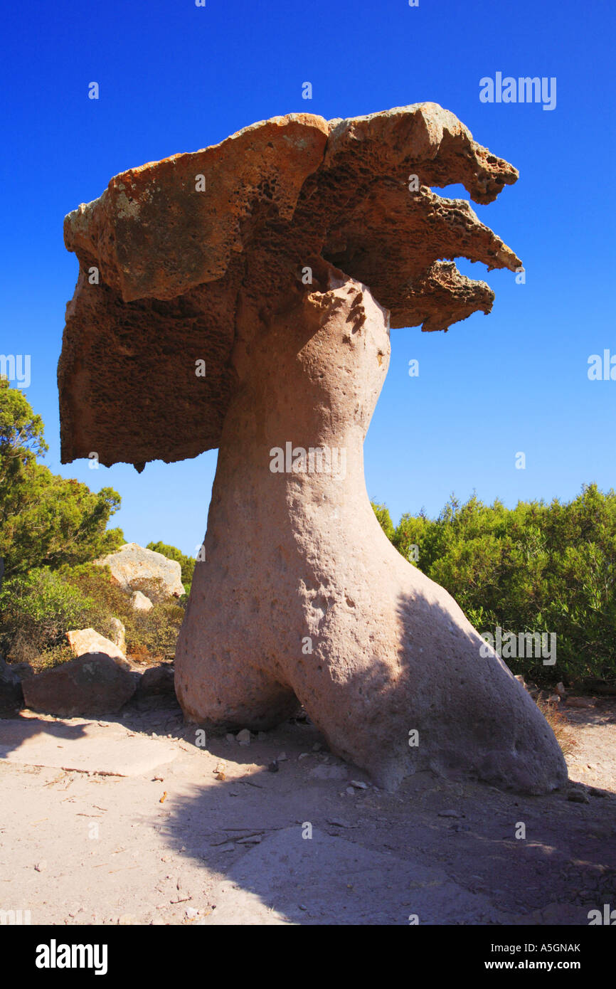 mushroom-shaped rock, Italy, Sardegna Stock Photo